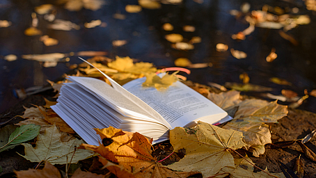 Herbstzeit ist Bildungszeit